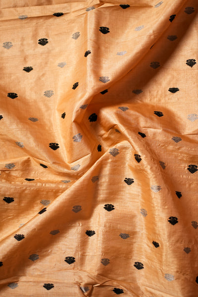 Silver Grey & Black Assam Tussar Silk Saree